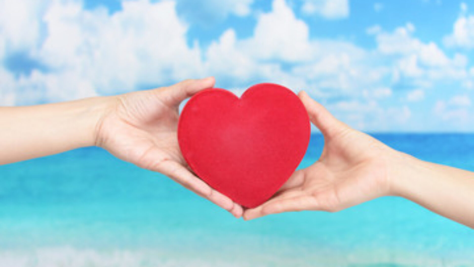 Racine -ラシーネ-